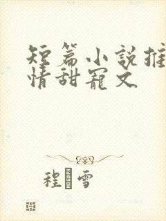 短篇小说推荐言情甜宠文
