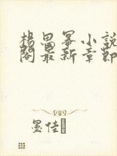 杨思幂小说笔趣阁最新章节