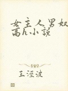 女主人男奴调教高h小说