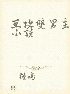 互攻双男主星际小说