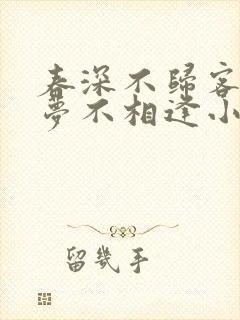 春深不归客,清梦不相逢小说阅读