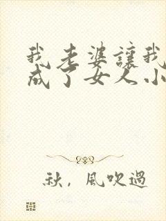 我老婆让我女装成了女人小说