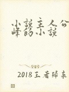 小说主人公叫林峰的小说封面