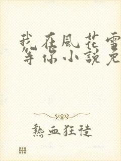 我在风花雪月里等你小说免费