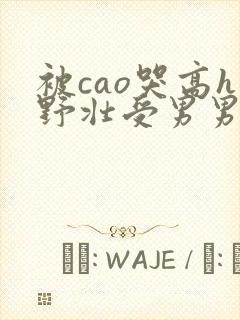 被cao哭高h野壮受男男