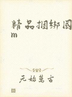 精品捆绑国产sm封面