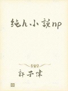 纯h小说np封面