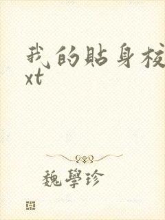 我的贴身校花txt封面