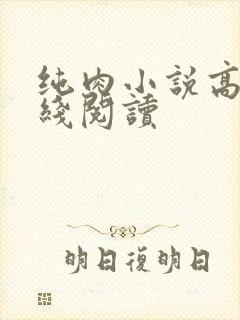 纯肉小说高h在线阅读