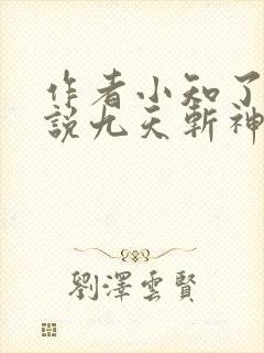 作者小知了的小说九天斩神诀封面