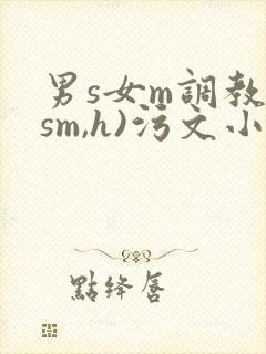 男s女m调教(sm,h)污文小说