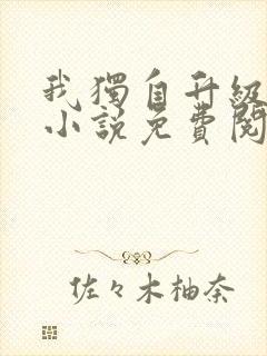 我独自升级原著小说免费阅读