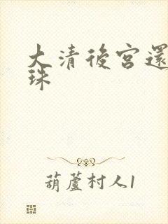 大清后宫还君明珠