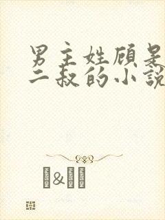 男主姓顾是女主二叔的小说