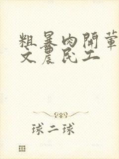 粗暴肉开荤高h文农民工