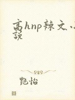 高hnp辣文小说