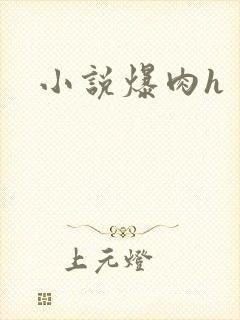 小说爆肉h
