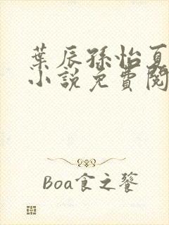 叶辰孙怡夏若雪小说免费阅读