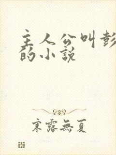 主人公叫彭怀远的小说