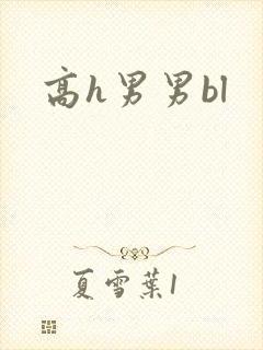 高h男男bl