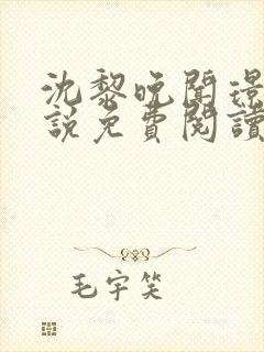 沈黎晚闻璟川小说免费阅读最新章节