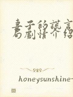 妻子的谎言大结局剧情介绍