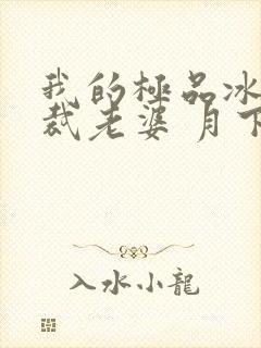 我的极品冰山总裁老婆 月下火封面