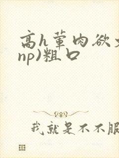 高h荤肉欲文(np)粗口