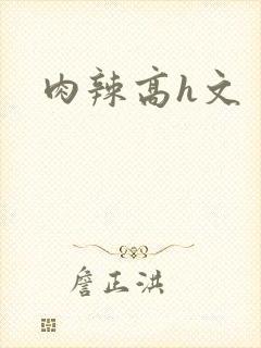 肉辣高h文