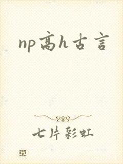 np高h古言