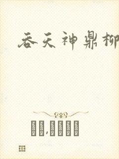 吞天神鼎柳无邪