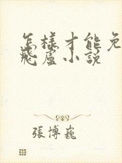 怎样才能免费看飞卢小说封面