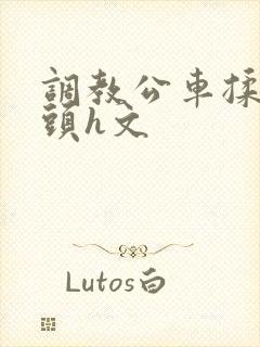 调教公车揉捏奶头h文封面