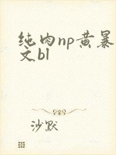 纯肉np黄暴h文bl