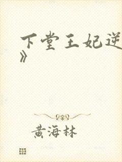 下堂王妃逆袭记》