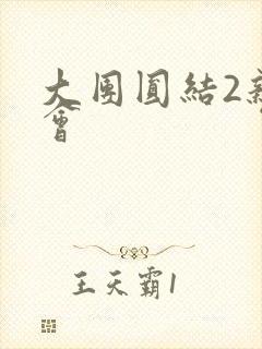 大团圆结2亲情会