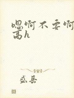 嗯啊不要啊好大高h