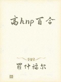 高hnp百合