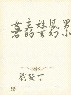 女主姓凤男主姓君的玄幻小说