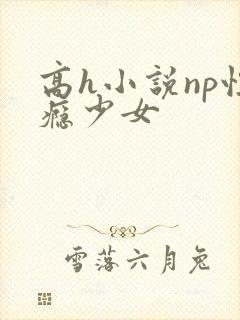 高h小说np性瘾少女