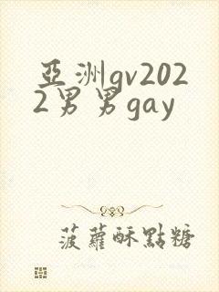 亚洲gv2022男男gay封面