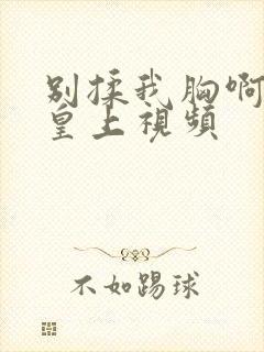 别揉我胸啊嗯～皇上视频