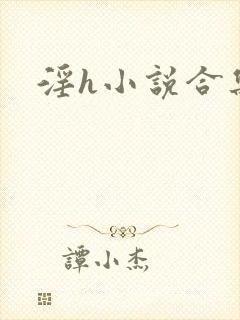 淫h小说合集封面