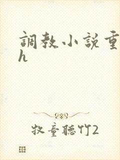 调教小说重口高h封面