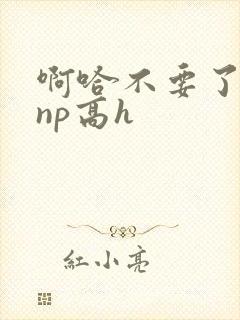 啊哈不要了男男np高h