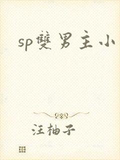 sp双男主小说