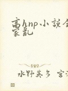 高hnp小说全家乱