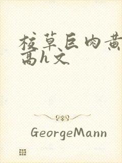 校草巨肉黄暴辣高h文