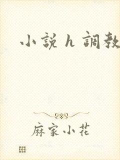 小说 h 调教
