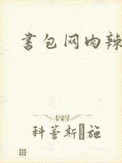 书包网肉辣文